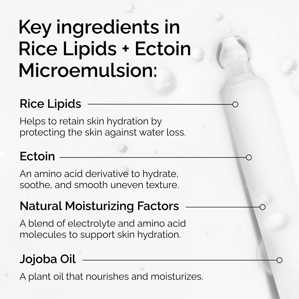 rice-lipids-ectoin-microemulsion-b3 ord-rice-lipids-ectoin-microemulsion-key-ingredients.png