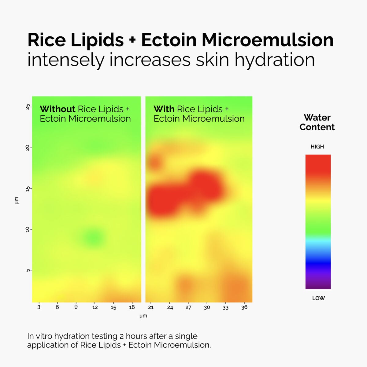 rice-lipids-ectoin-microemulsion-b3 ord-rice-lipids-ectoin-microemulsion-thermal-before-after.jpg
